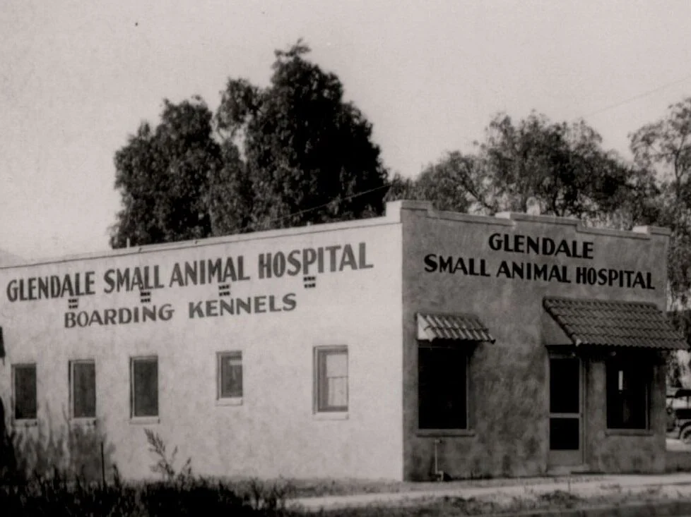 glendale animal hospital hours