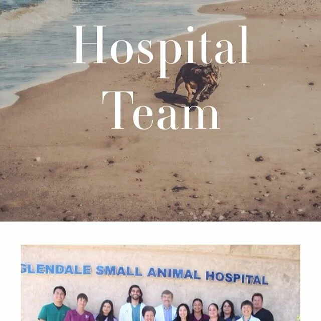 Glendale Small Animal Hospital