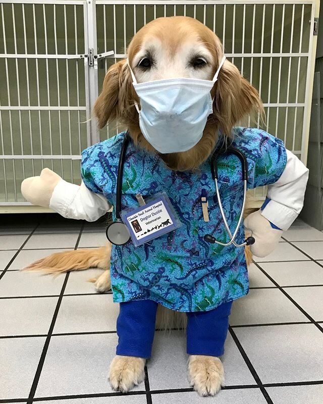 Glendale Small Animal Hospital