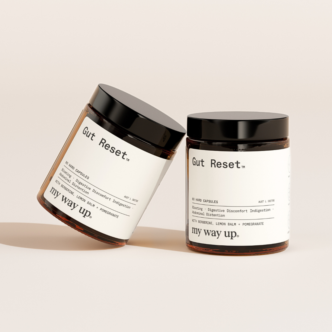 Gut Reset