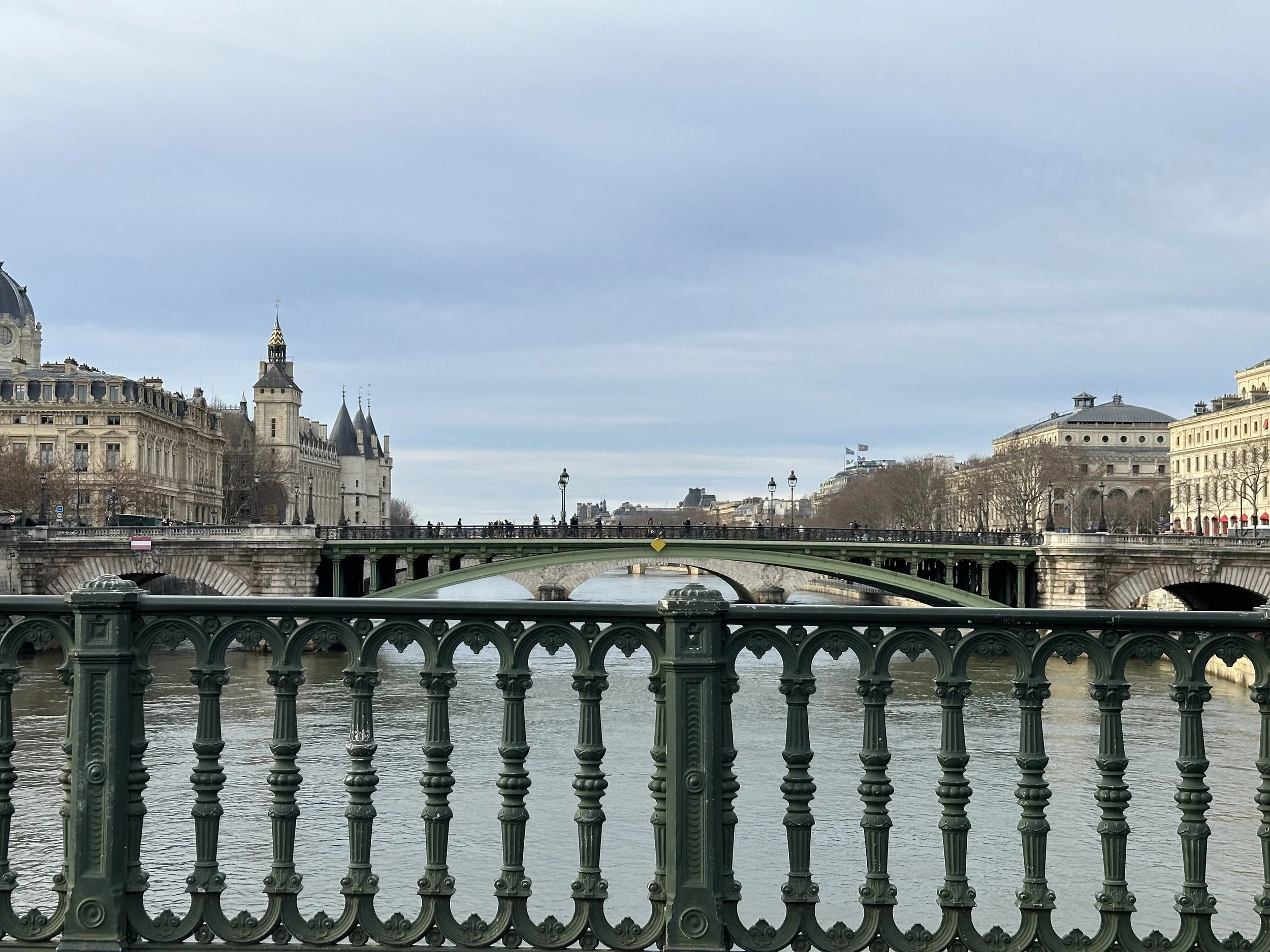 View of Paris cityscape featuring historic buildings, a bridge over the Seine River, and cloudy sky.