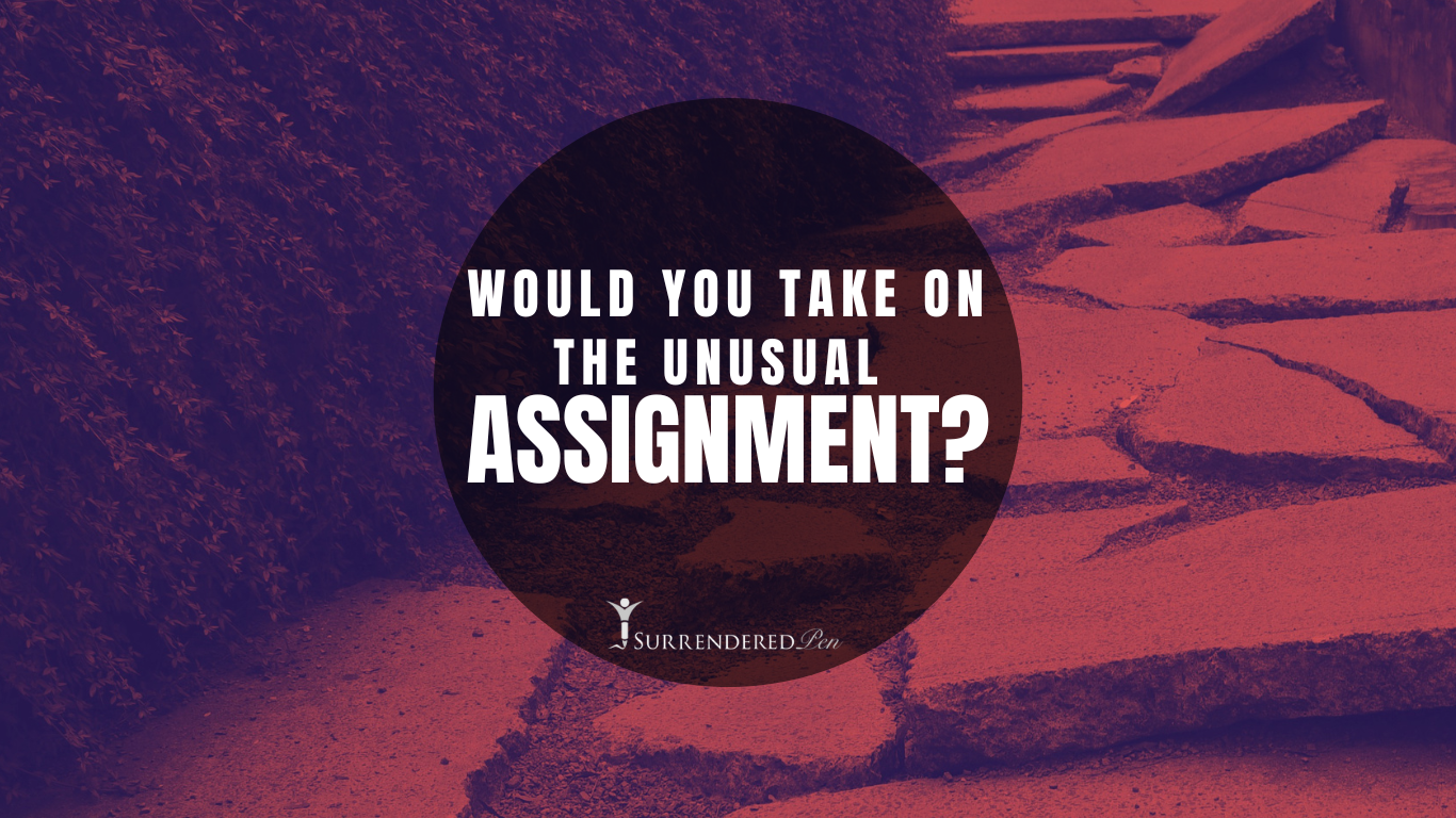 Would you take on the unusual assingment? — SurrenderedPen