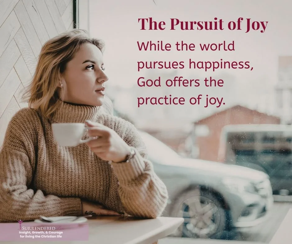 Image of a young woman looking to her left. She hold a cup of coffee and sits in a shop. Behind her through a window is a street scene with a building and cars passing by. It looks like she's looking at the caption which says The Pursuit of Joy.