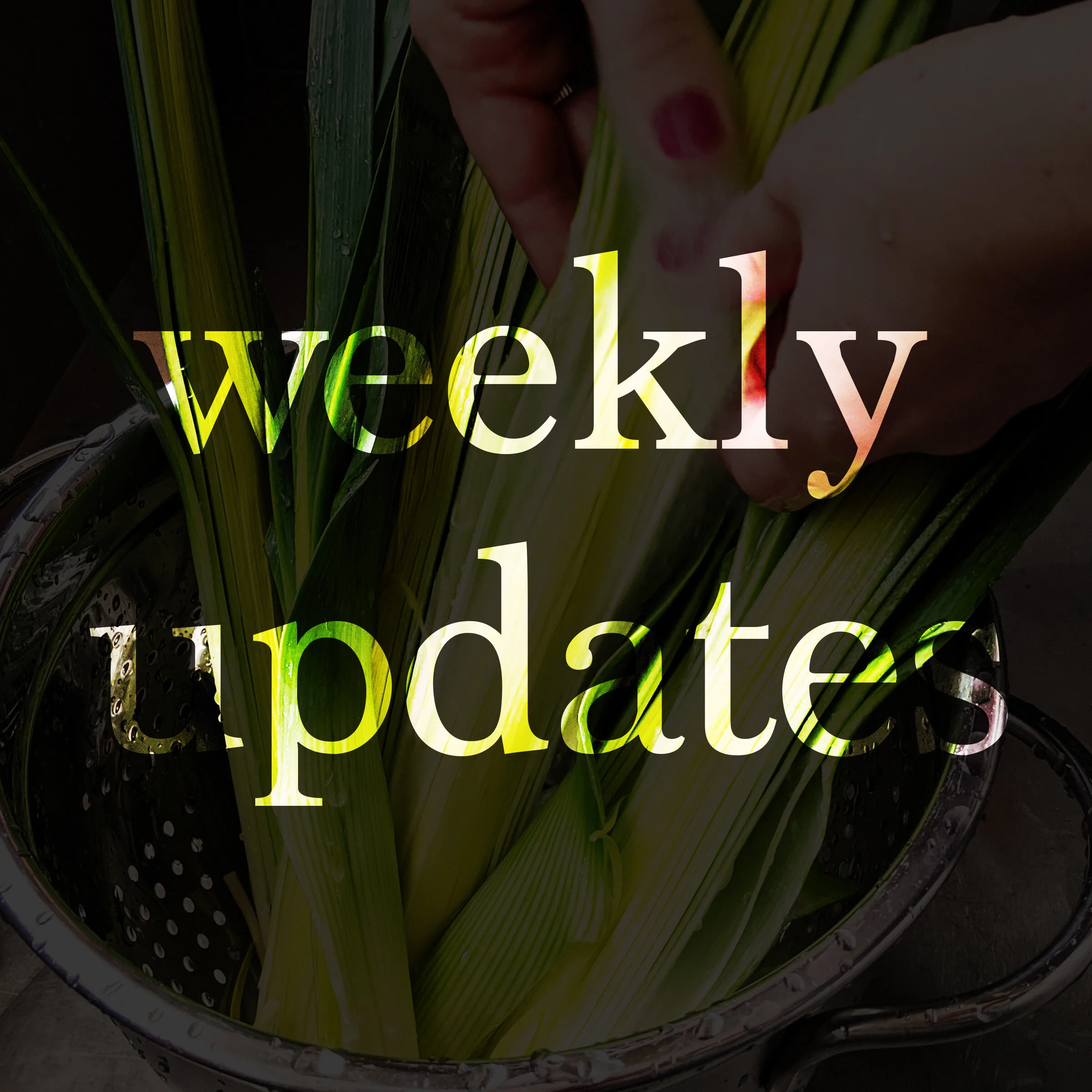 Welcome to Grounded Grub Weeklies! 01.28.2020