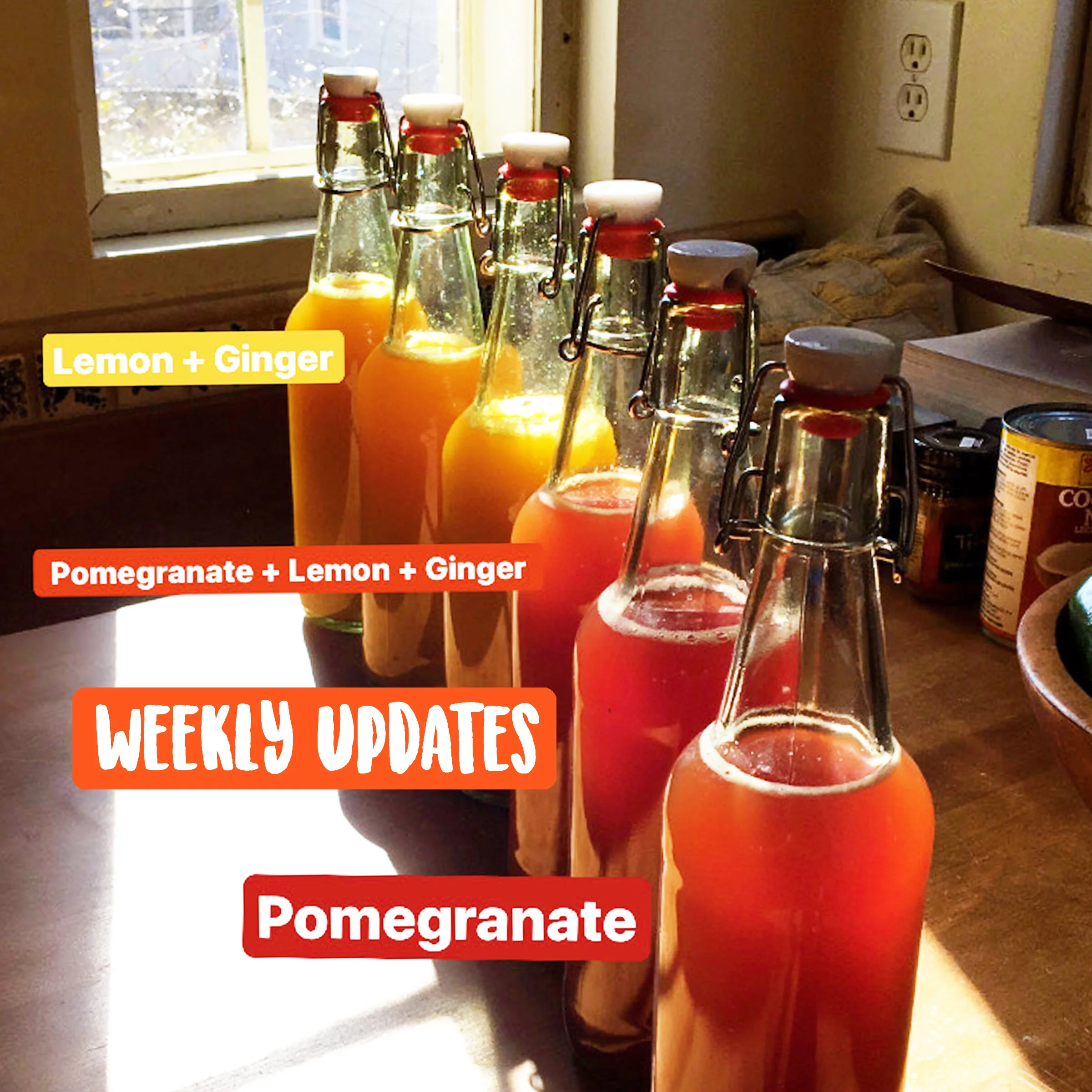 Grounded Grub Weeklies! 03.10.2020