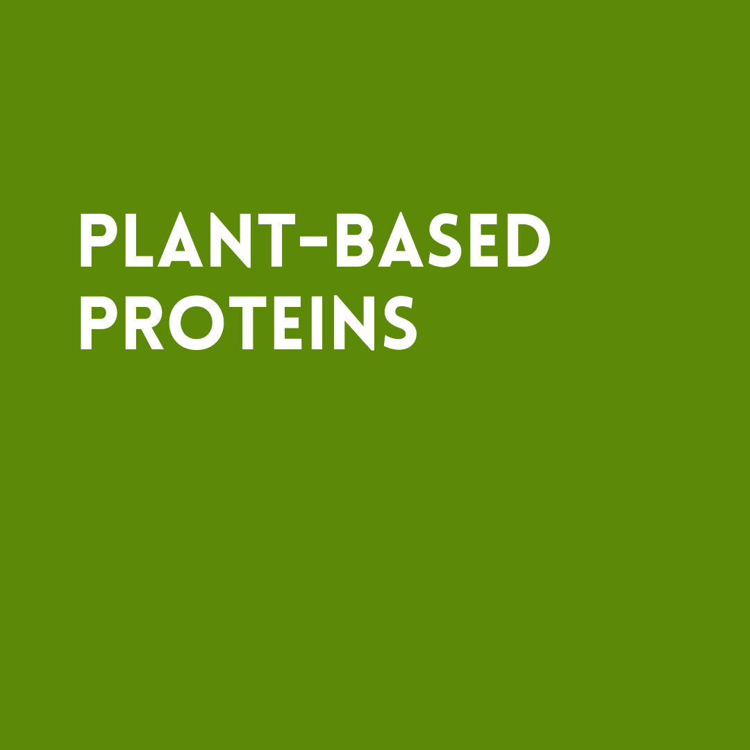 Plant Based Protein.png
