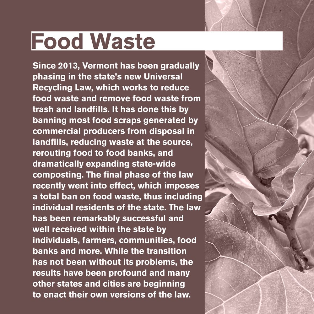 3. Food Waste.jpg