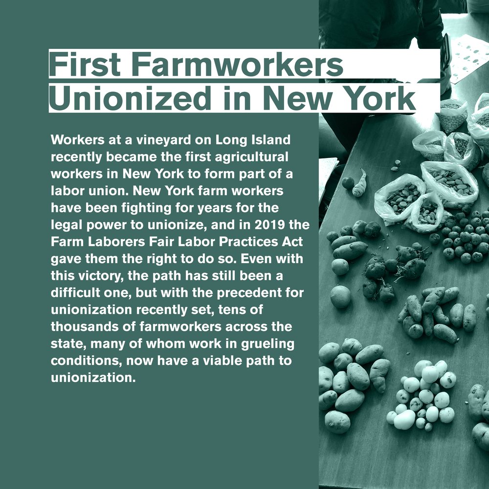 5. Unions.jpg