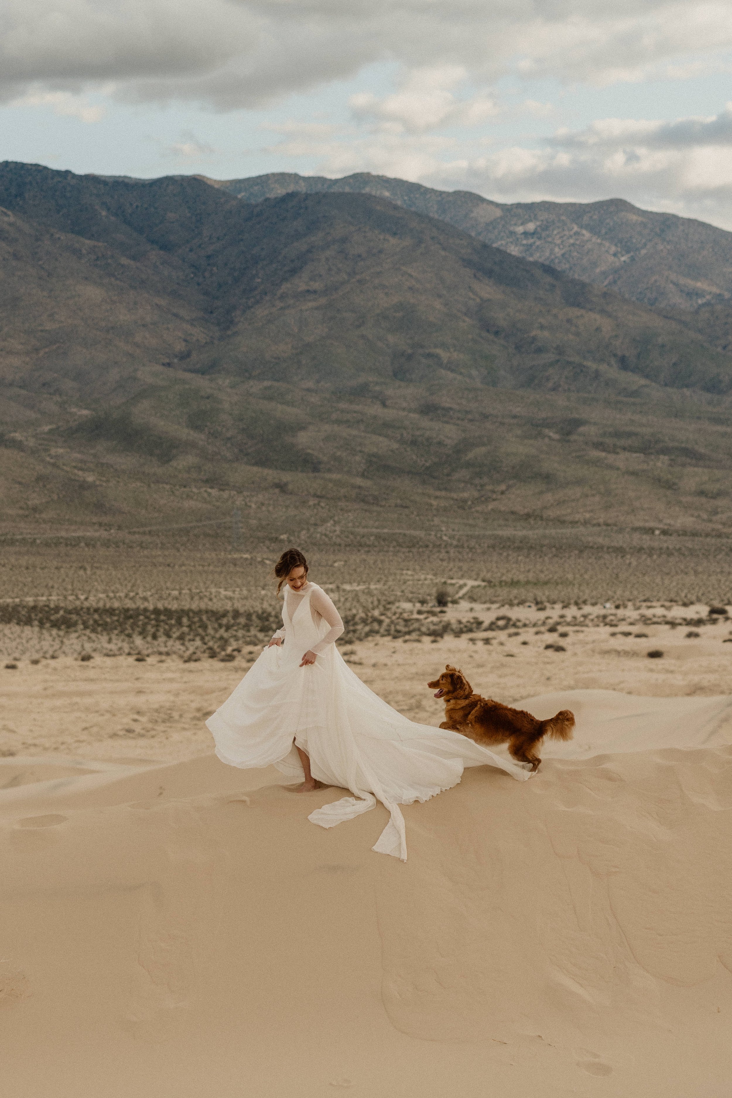  joshua tree desert elopement sheer wedding dress 