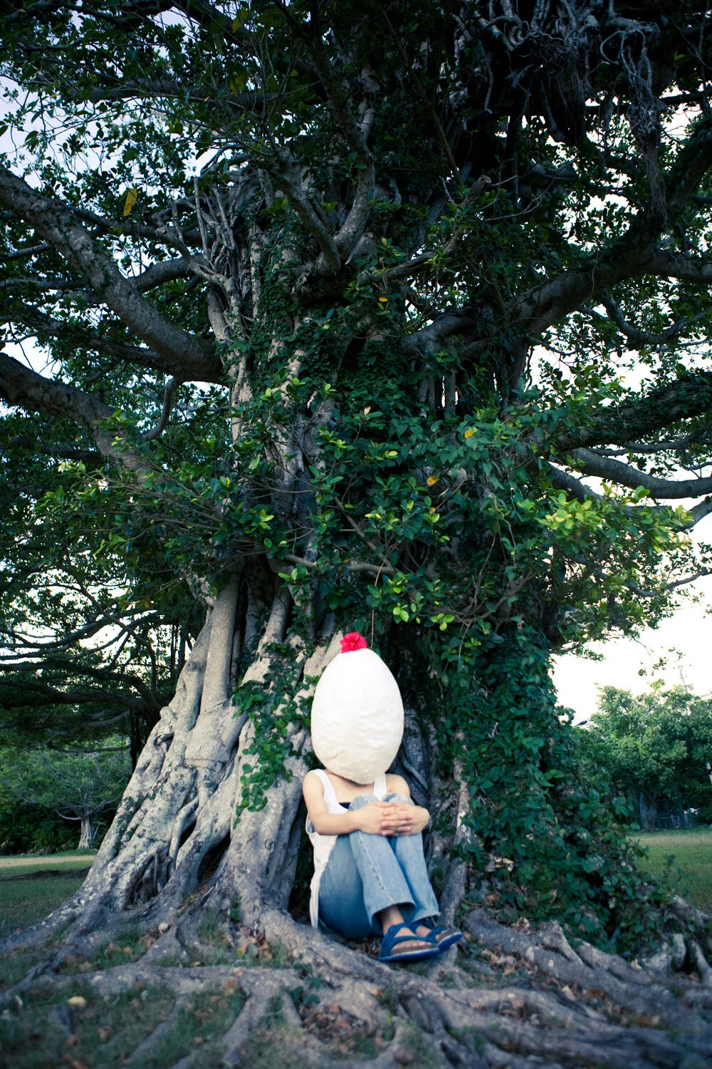tree.jpg