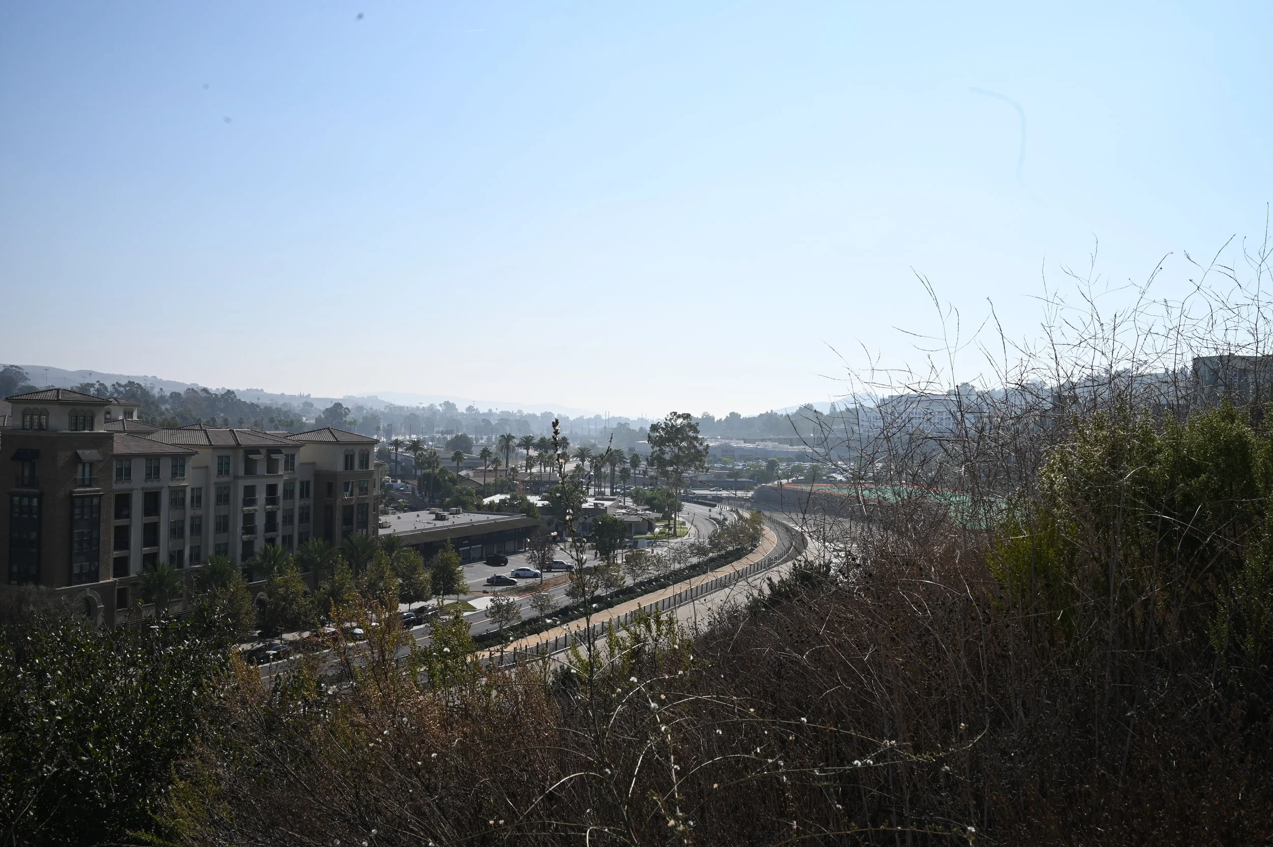 SBG_0526.JPG