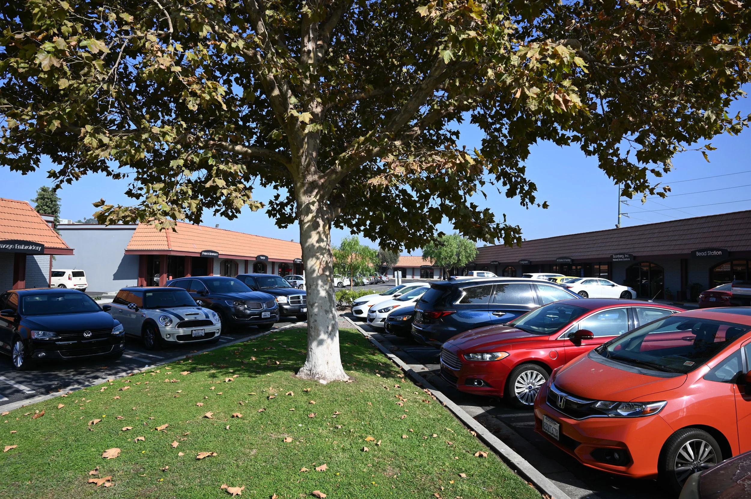 SBG_0483.JPG