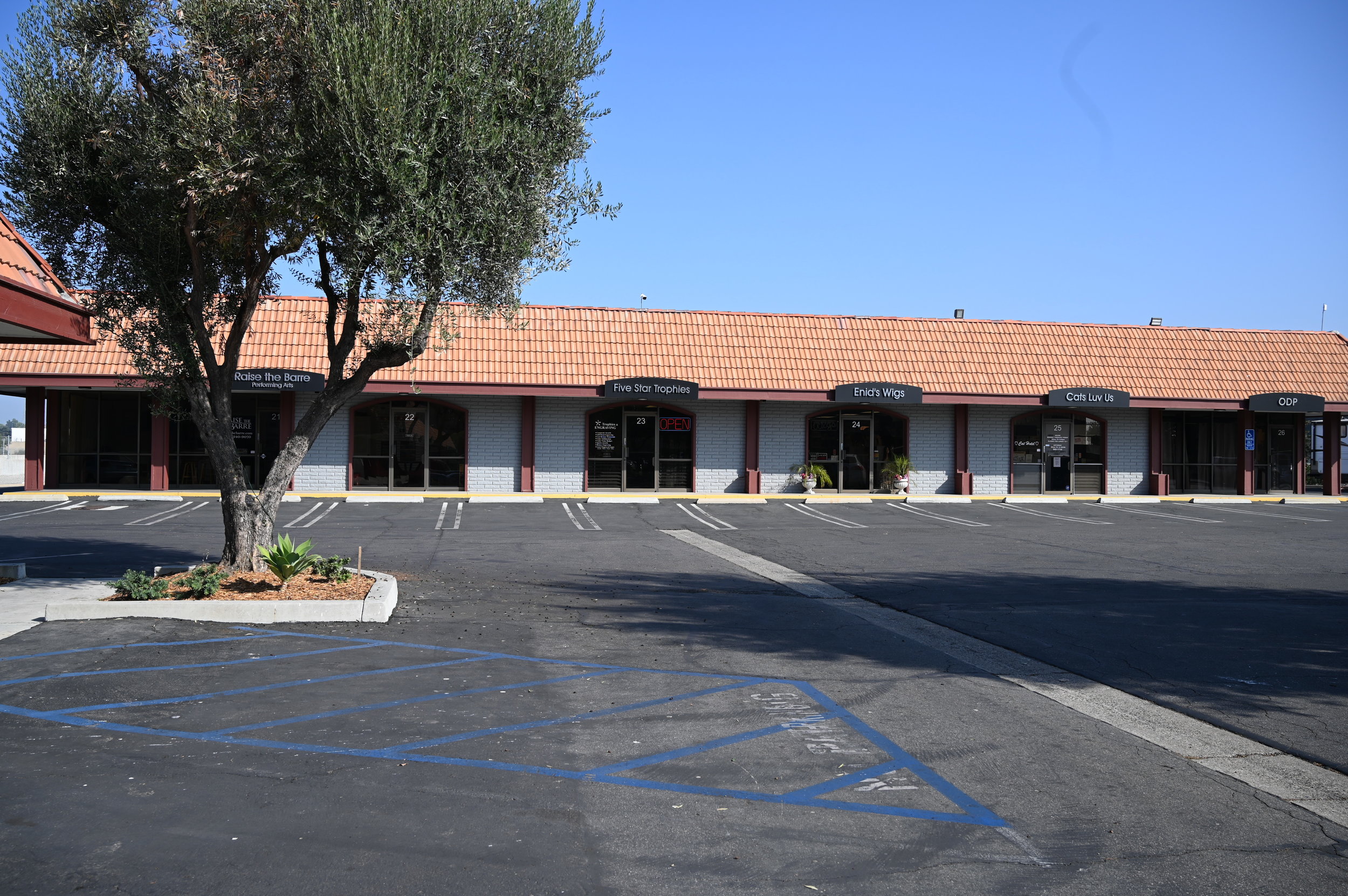 SBG_0491.JPG