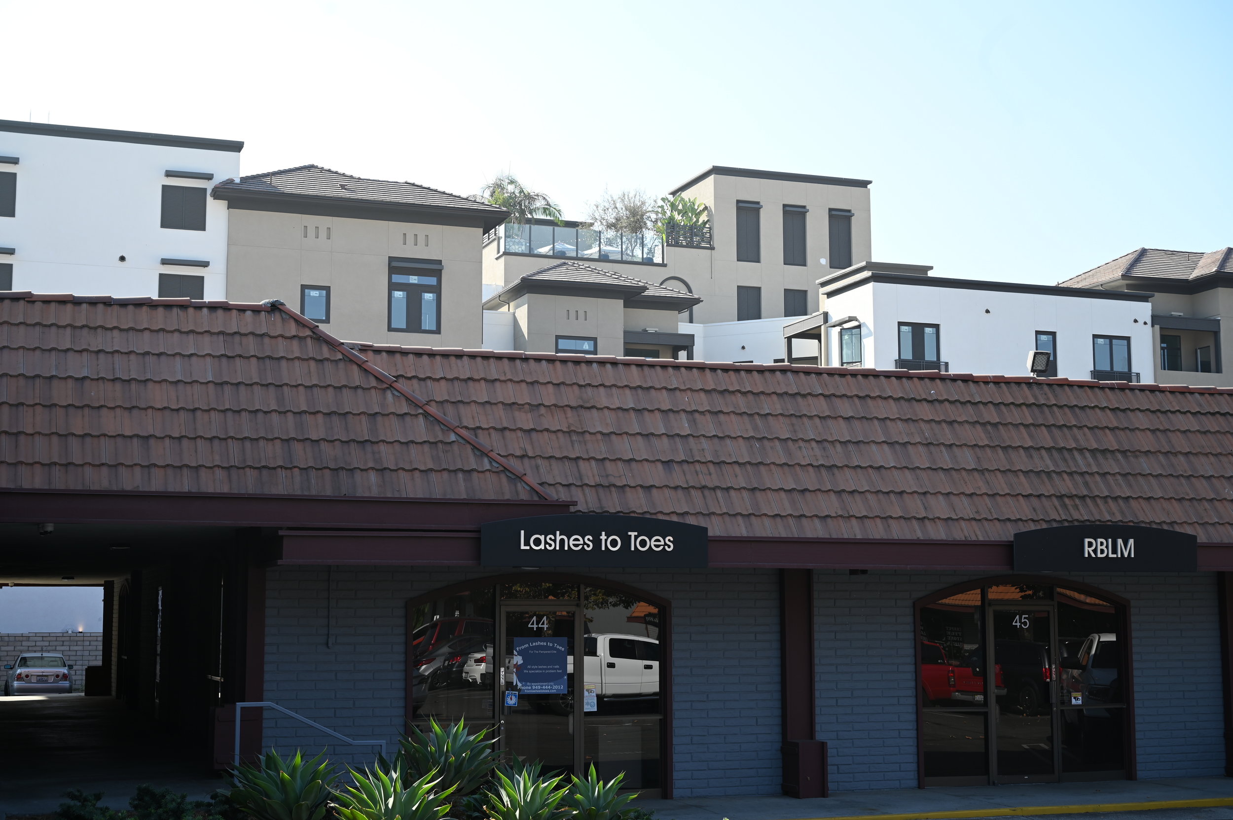 SBG_0502.JPG