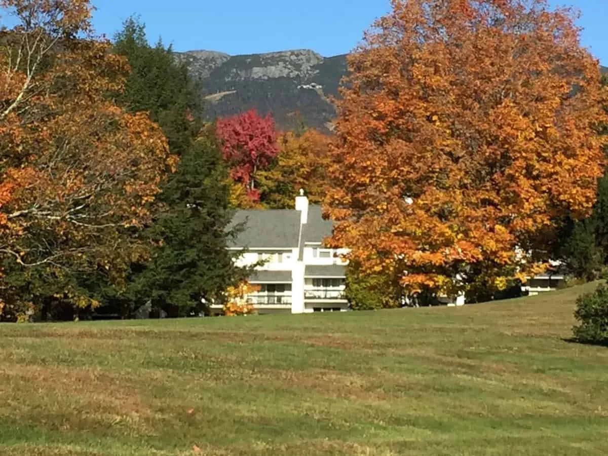 exterior_fall.jpg