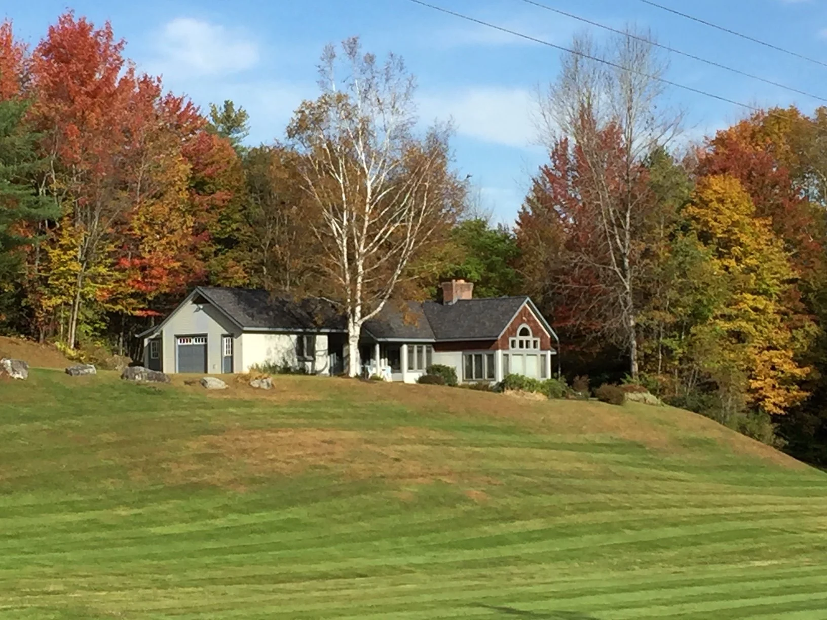 foliage_exterior1.JPG