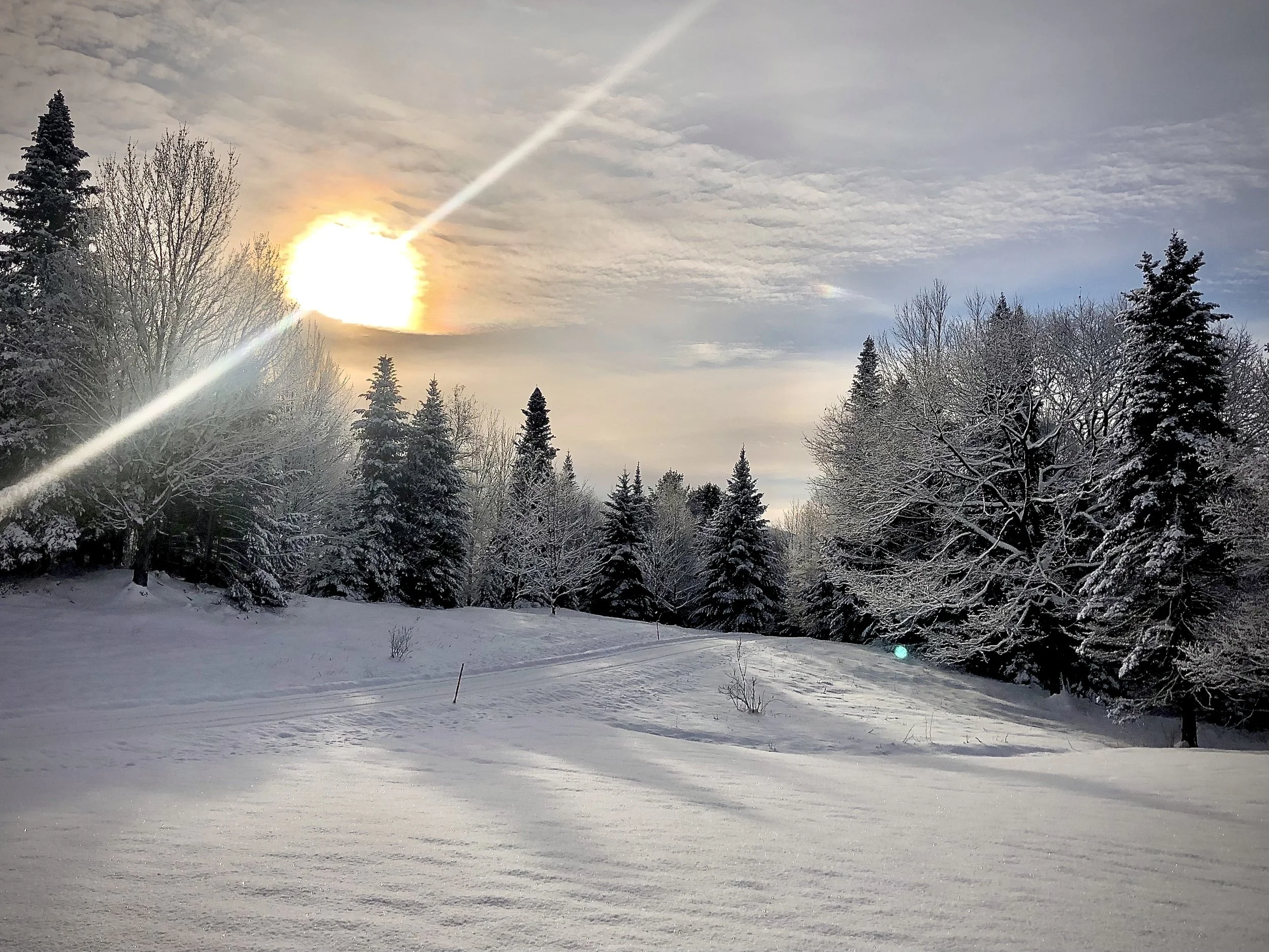Classic winter morning from the front yard at our winter have jsut 3 miles from Stowe Village.jpg