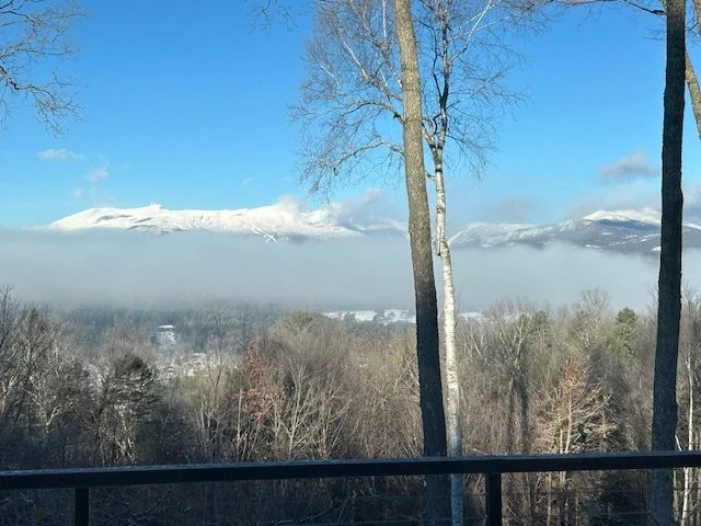 mountain views.jpg
