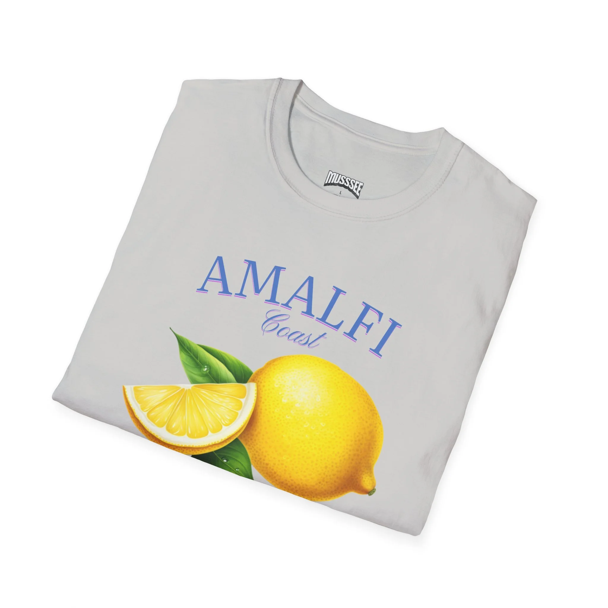 65f45c9da2ff1d87538612d40875eff2