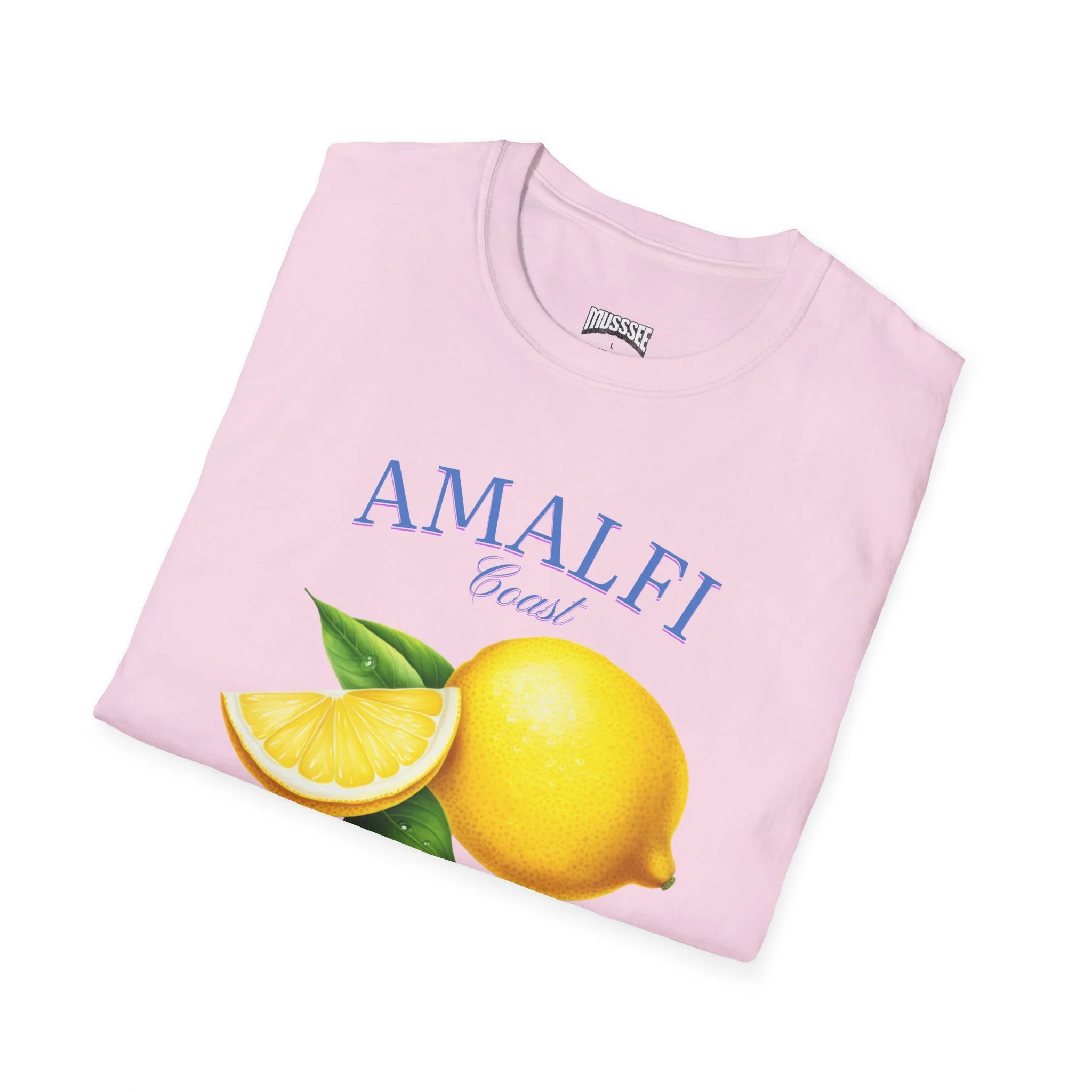 2a8a7dbf8a34f46f39a8d41d58301546