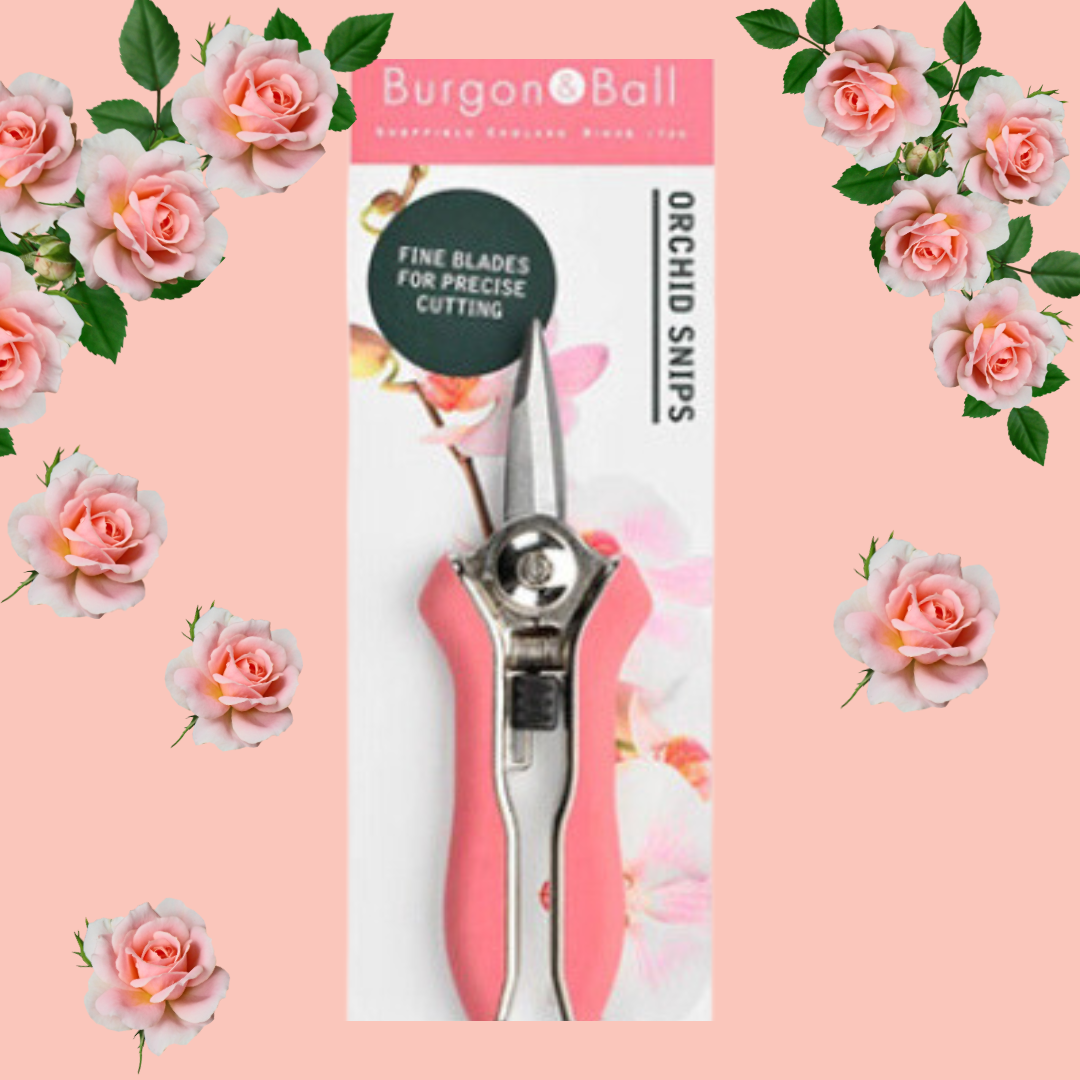 D9888F5A-A0A0-4A8F-83D6-29DE32C2F53C