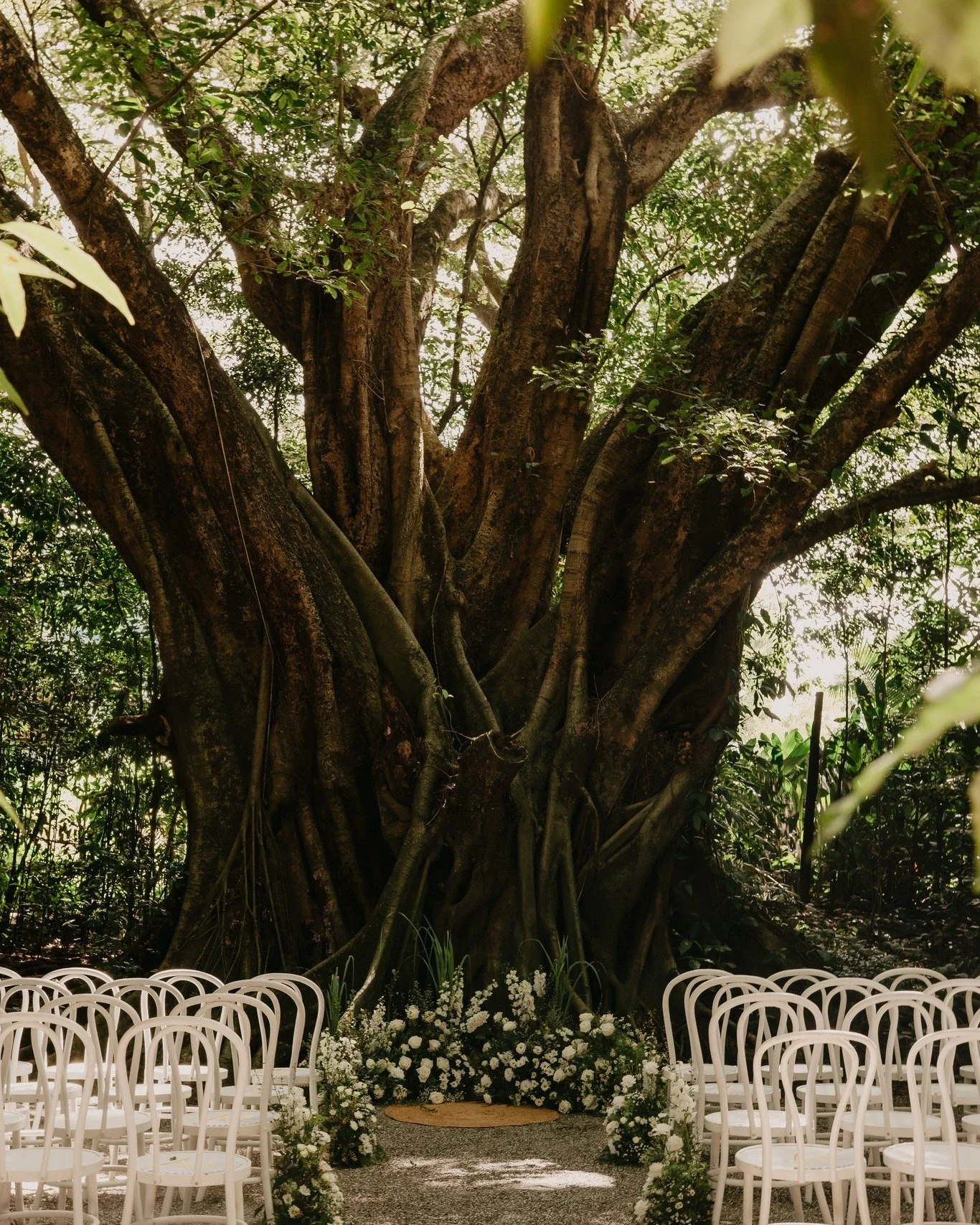 This is the year of the Fabulous Floral Backdrop!  Whether it's tall pillars, low gardens or just a perfect pair of urns, I just love them all... What style is your Favourite? 

Maybe I'll get organised and create a reel with all of the 2025 backdrop