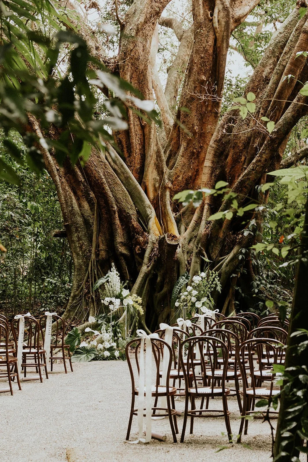 The Rainforest Grotto Port Douglas' secret Wedding Venue