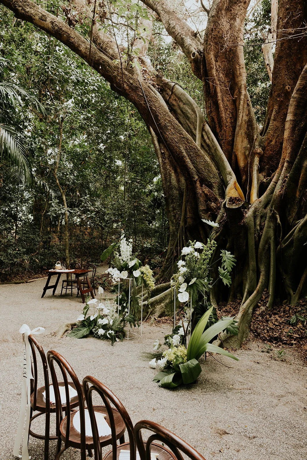 Modern Botanical with a Tropical feel, that's what I'm calling this look.  Combining interesting foliages and botanical elements with stunning white anthuriums, orchids, roses and a few of my favourite delphiniums for good measure. 

This is what hap