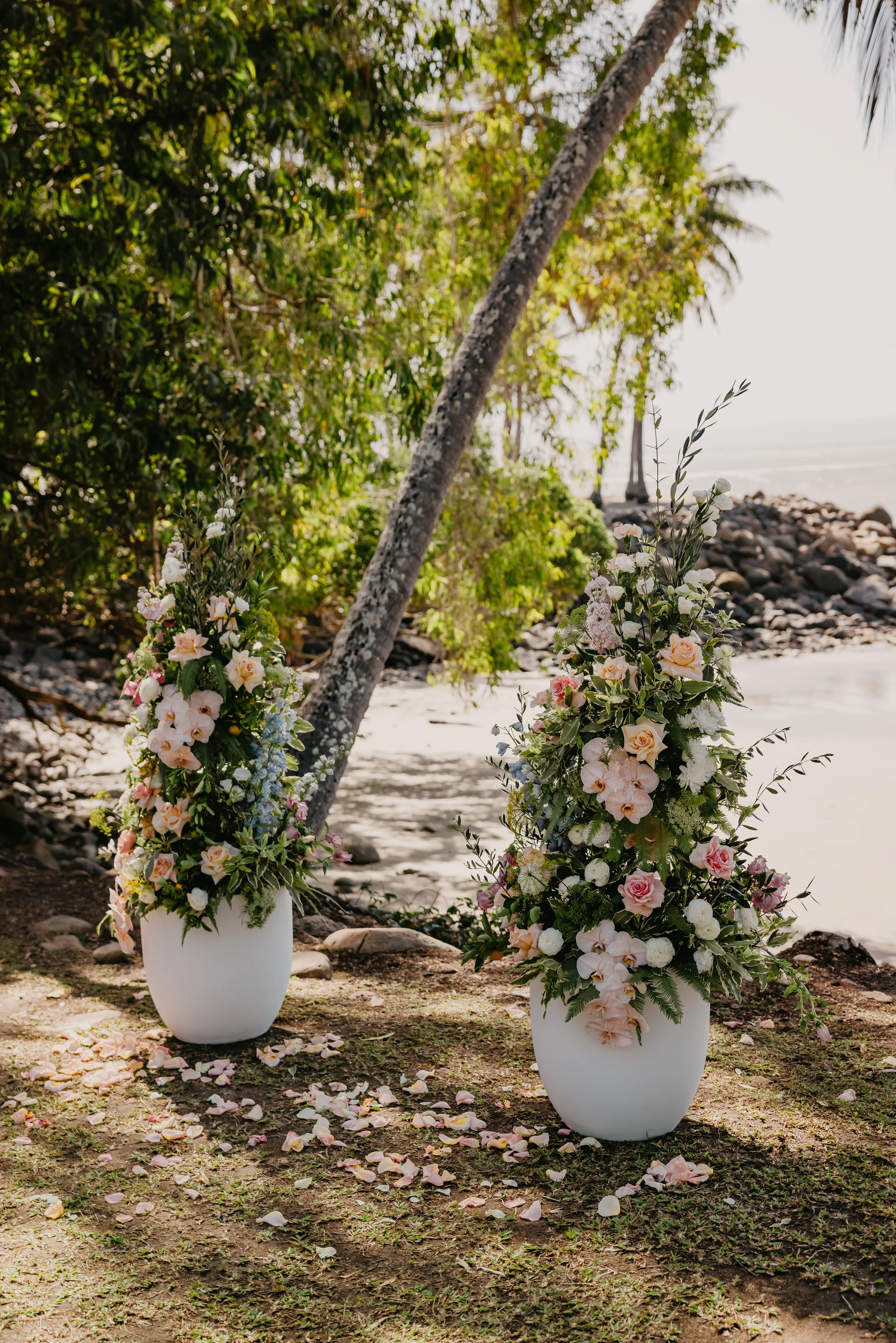 Springtime Weddings in Port Douglas - Alex and Jade at Little Cove