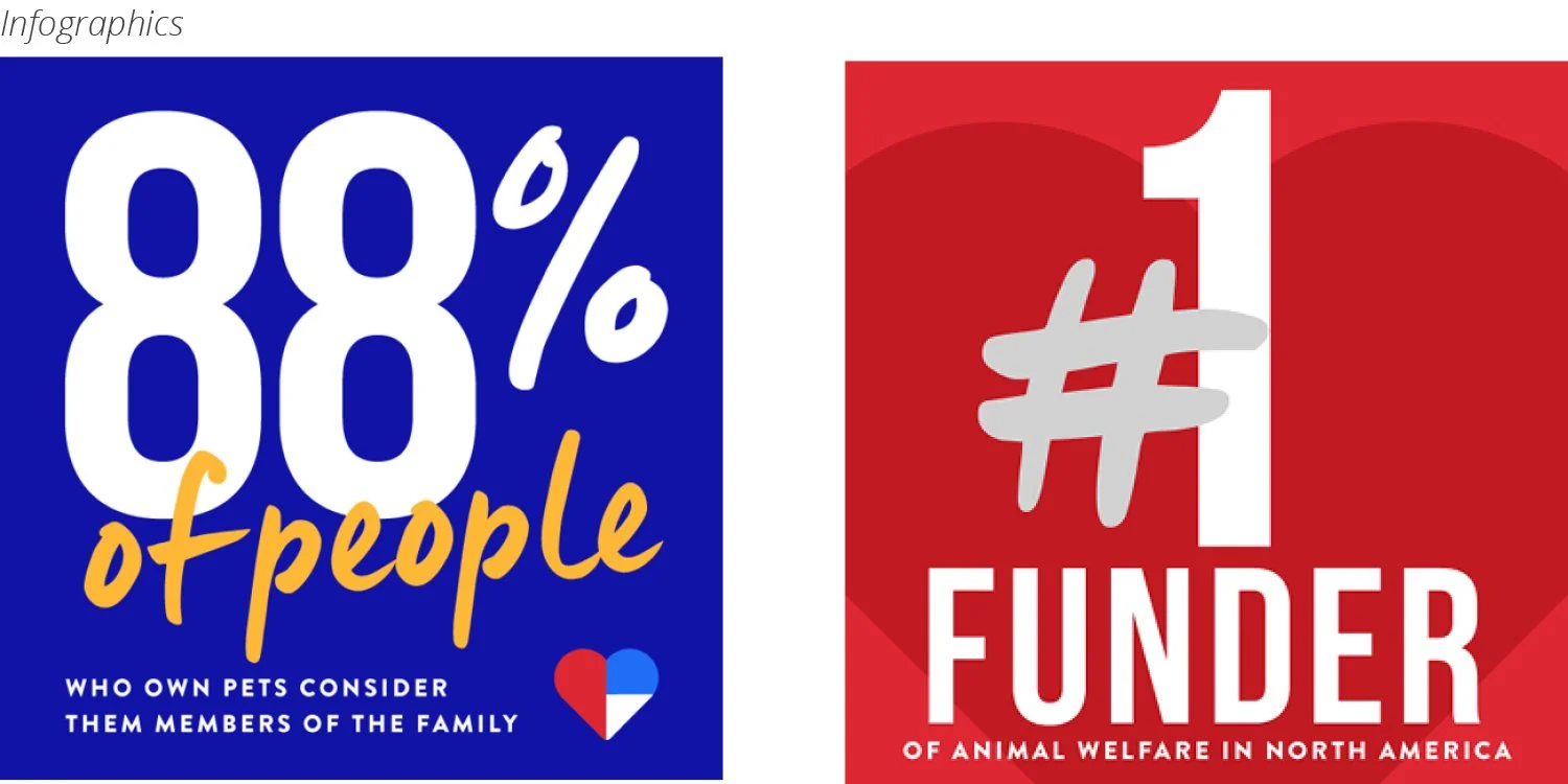 PS Charities_infogr_duo.jpg