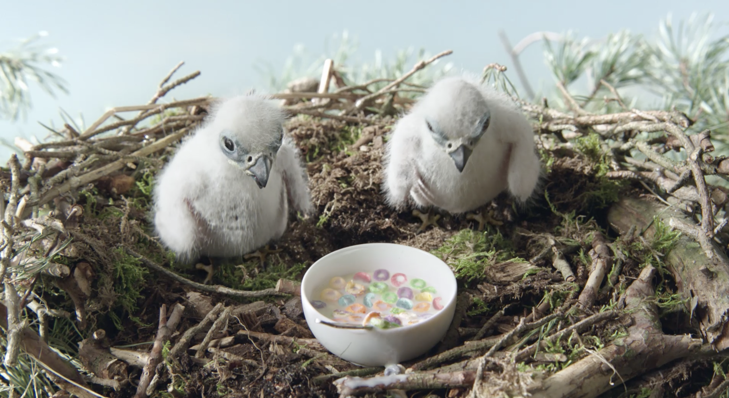 Screen Shot 2019-11-06 at 9.35.48 PM.png