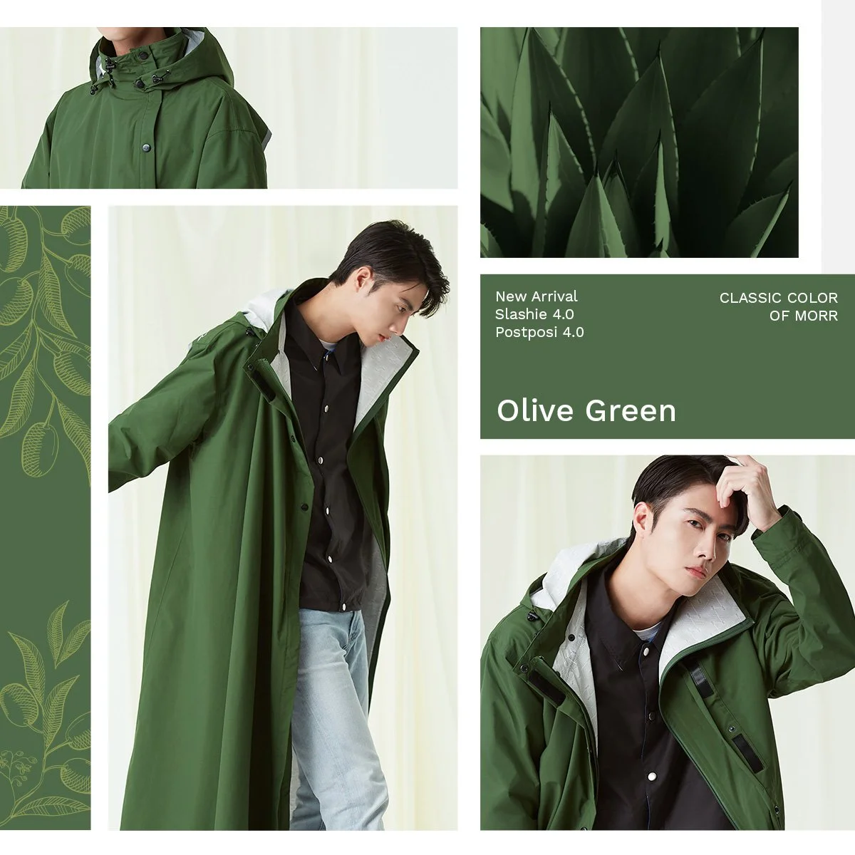 橄欖綠新品宣傳.jpg