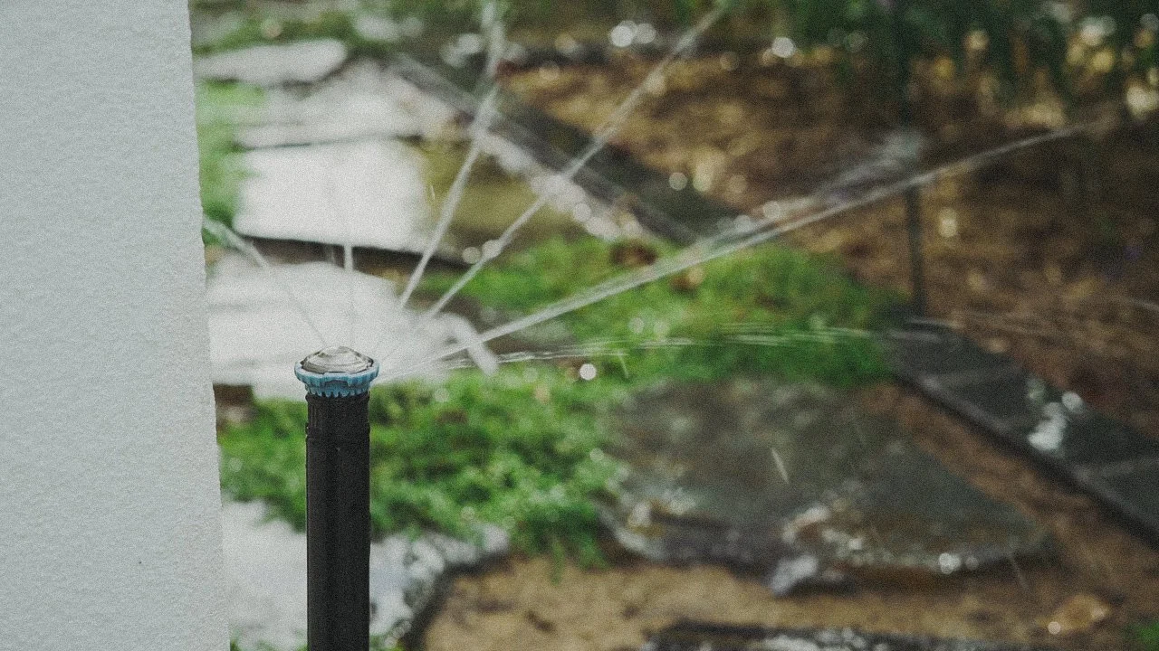 C0023T01.jpg