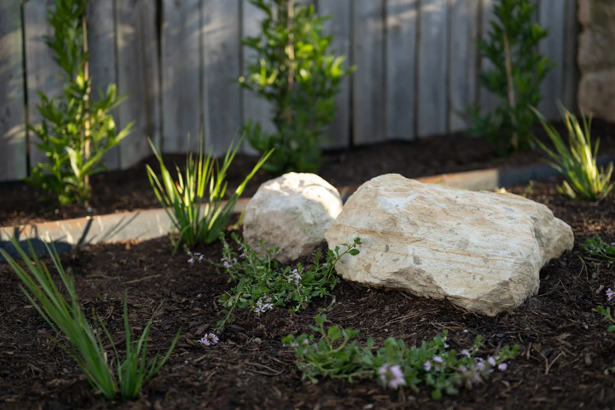 Port_Rd_Port_Willunga_Desert_Flower_Landscaping 7.jpg