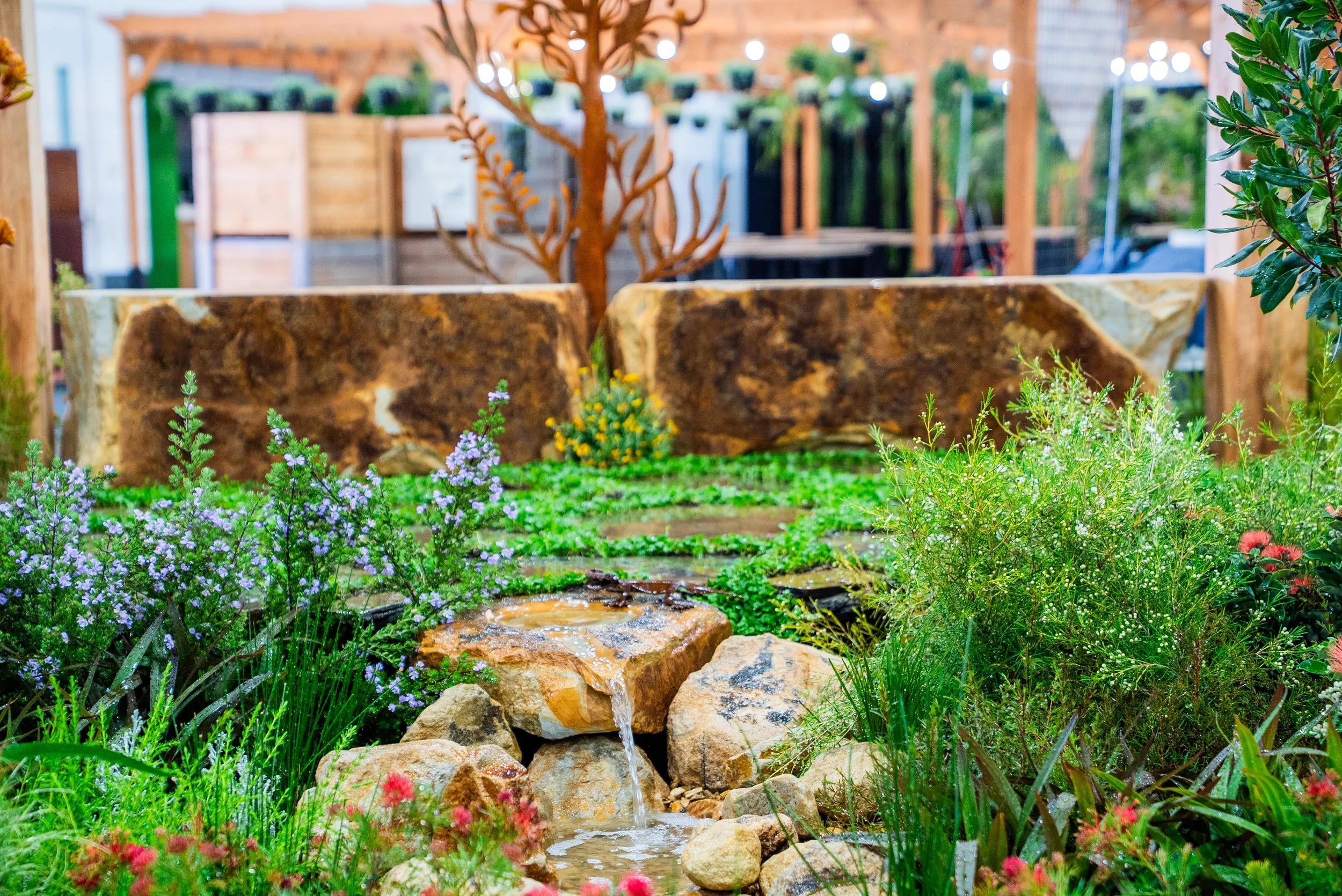 SOAK_Royal_Adelaide_Show_Desert_Flower_Landscaping 2.jpg