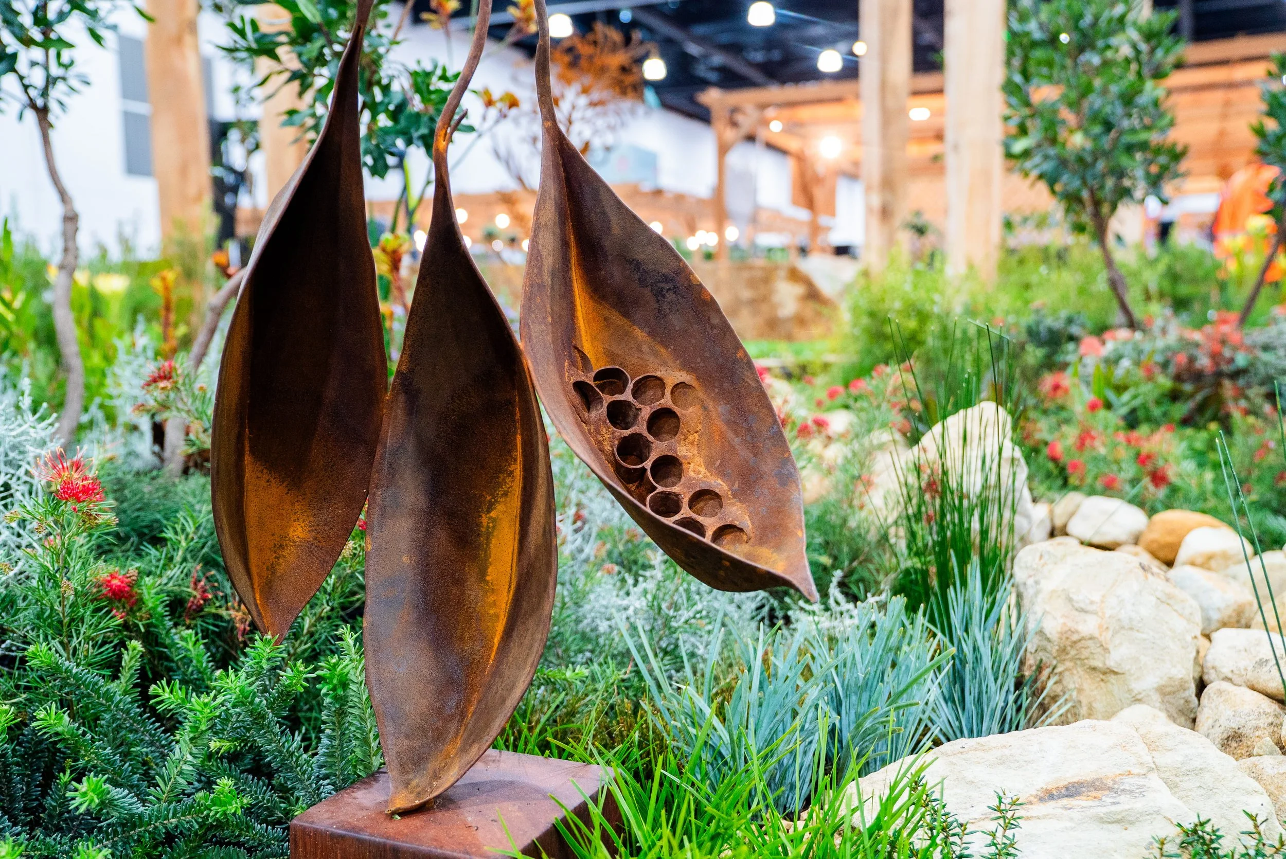 SOAK_Royal_Adelaide_Show_Desert_Flower_Landscaping 3.jpg