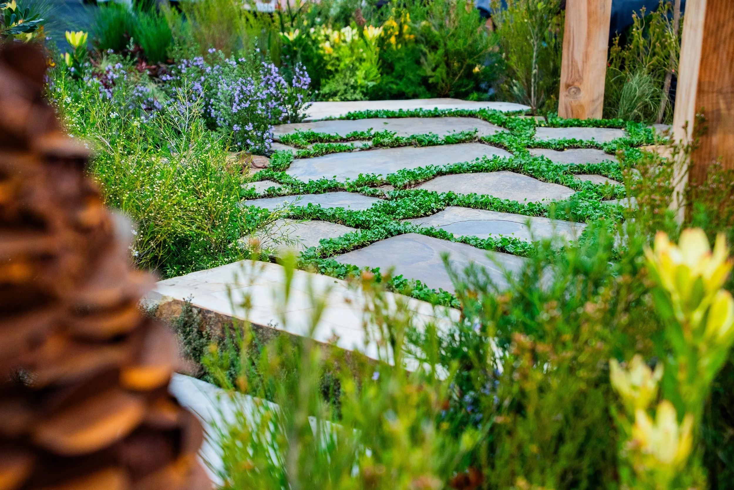 SOAK_Royal_Adelaide_Show_Desert_Flower_Landscaping 4.jpg