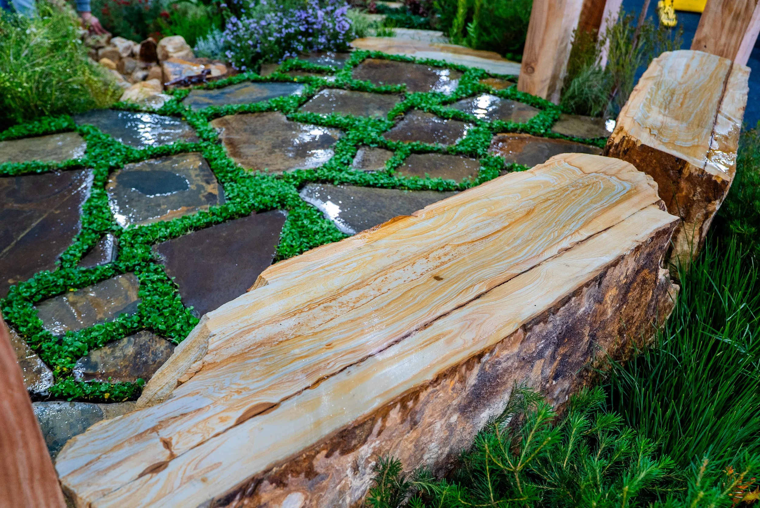 SOAK_Royal_Adelaide_Show_Desert_Flower_Landscaping 6-2.jpg