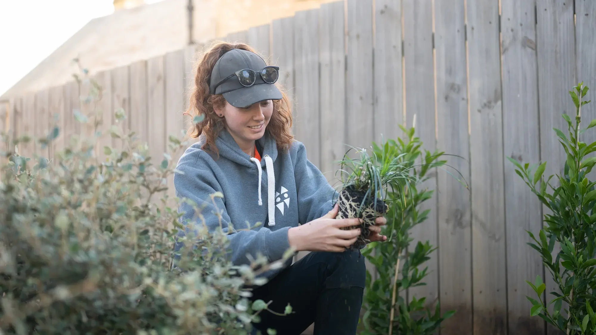 Planting at Port Willunga
