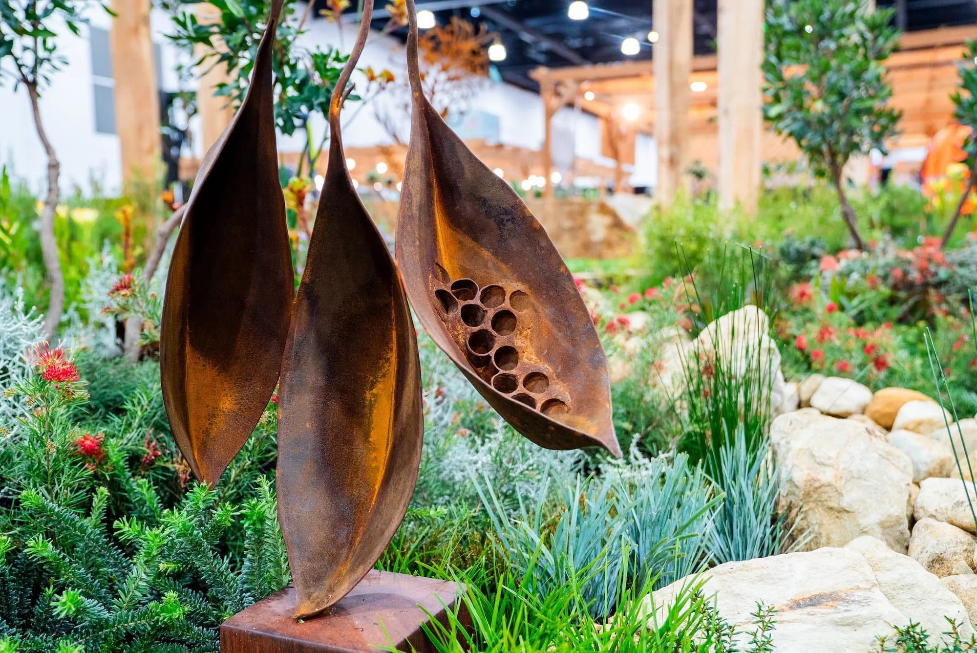 desert-flower-landscaping-royal-adelaide-show-soak-2025.jpg