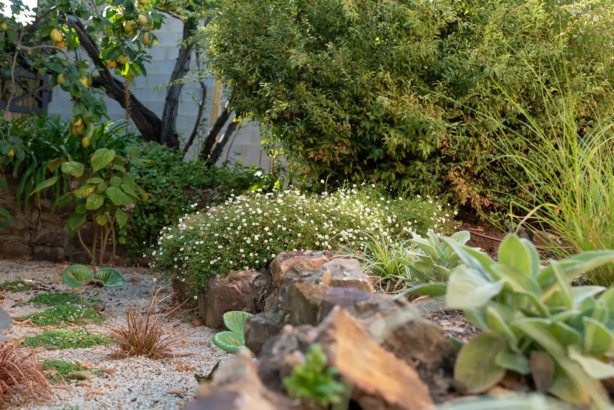 Restored stone work with planting