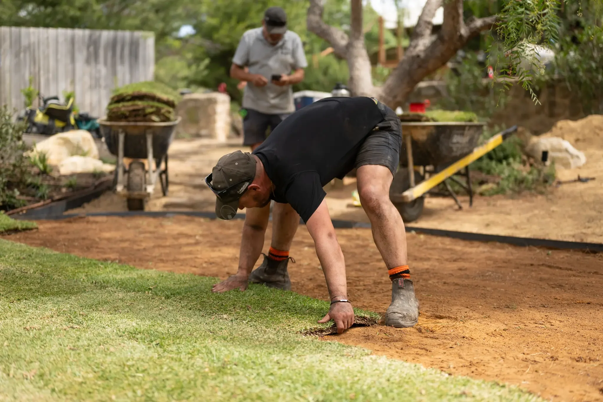 Dwarf Kikuyu Installation Port Willunga