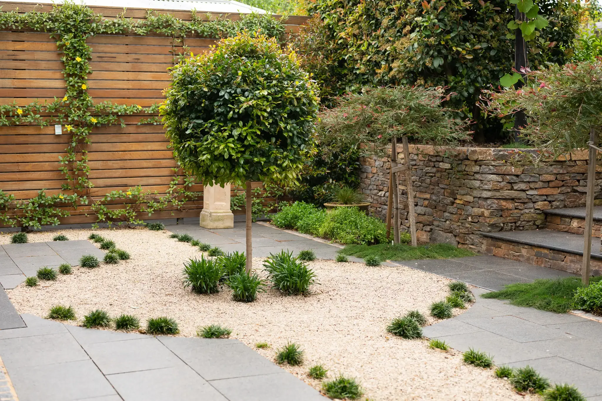 Courtyard garden design Rosslyn Park