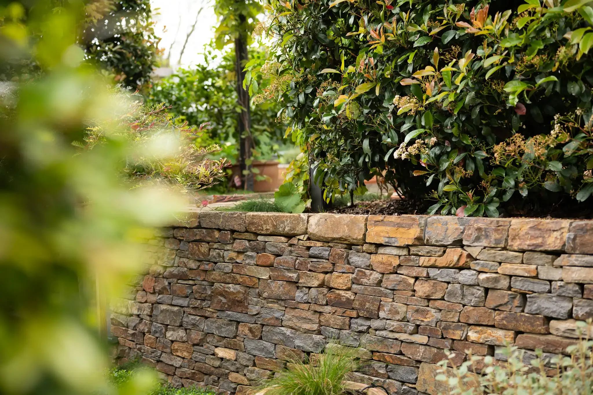 Wistow bluestone drystone walling