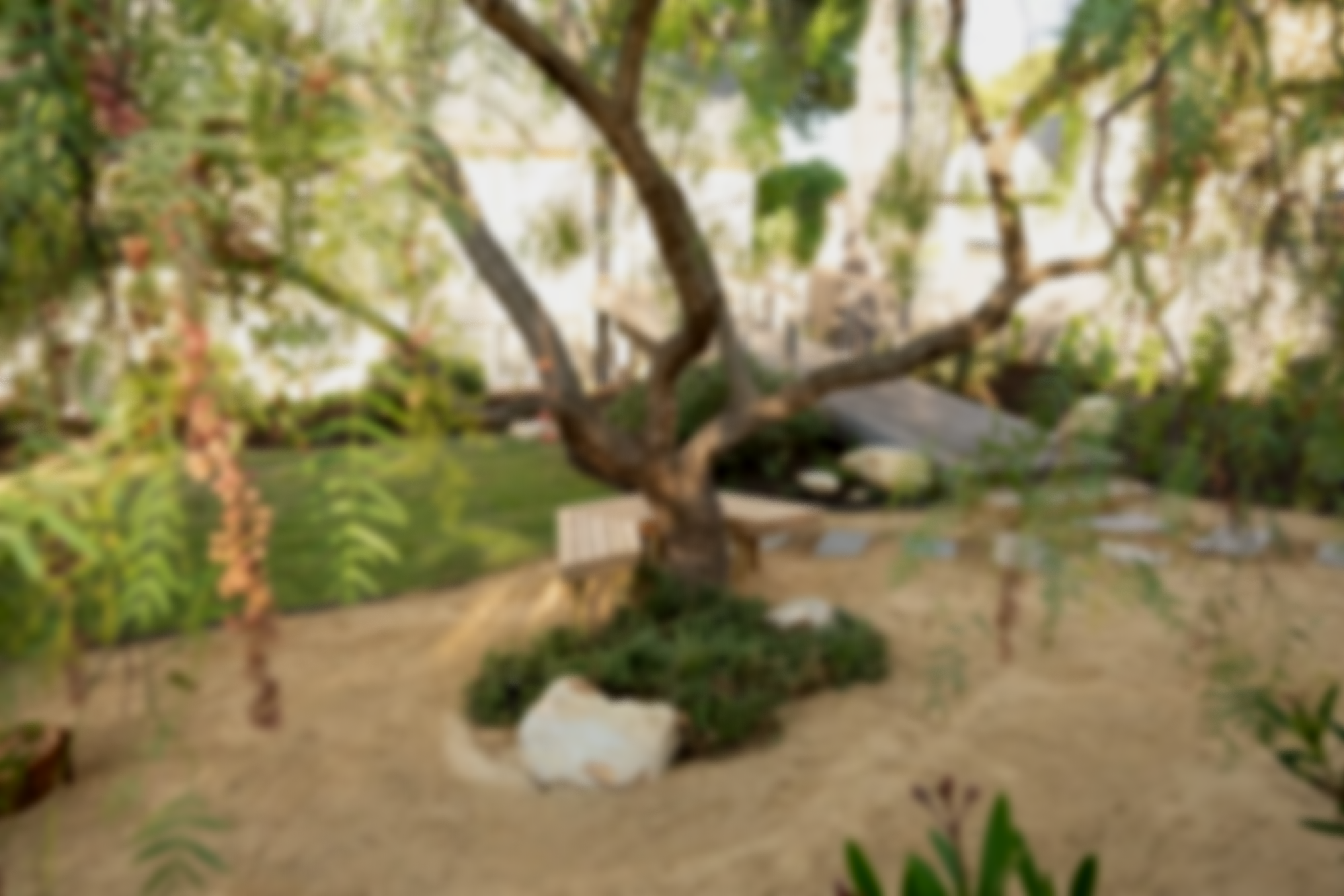 Coastal garden design in Port Willunga