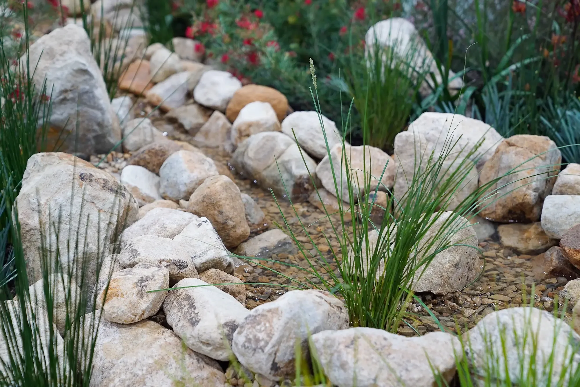 Photograph of a natural creek feature in the SOAK garden at Royal Adelaide Show 2025. Adelaide Hills sandstone and softened with planting.