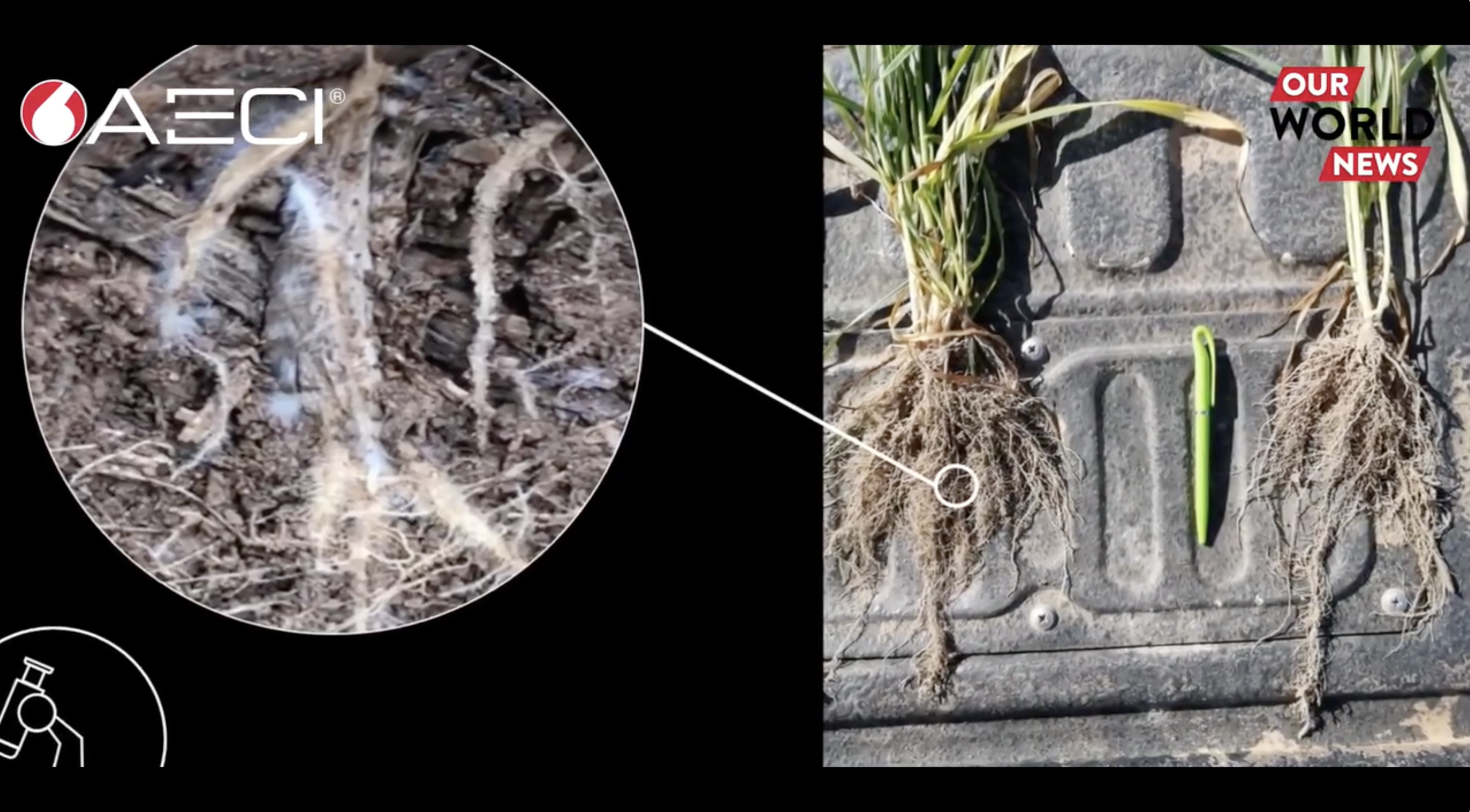 Screenshot 2022-12-15 at 14.12.11.png