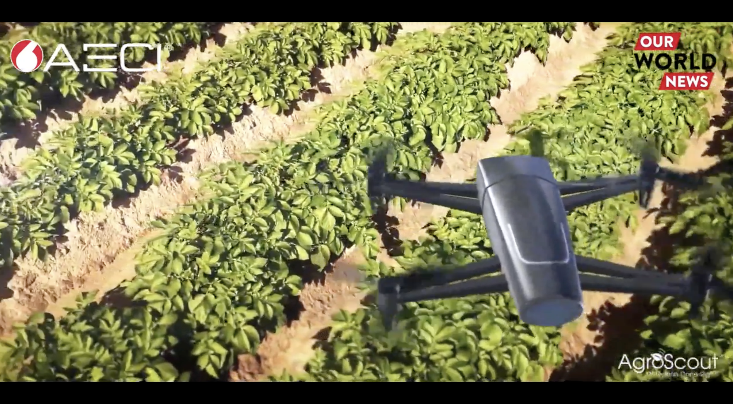 Screenshot 2022-12-15 at 14.08.08.png