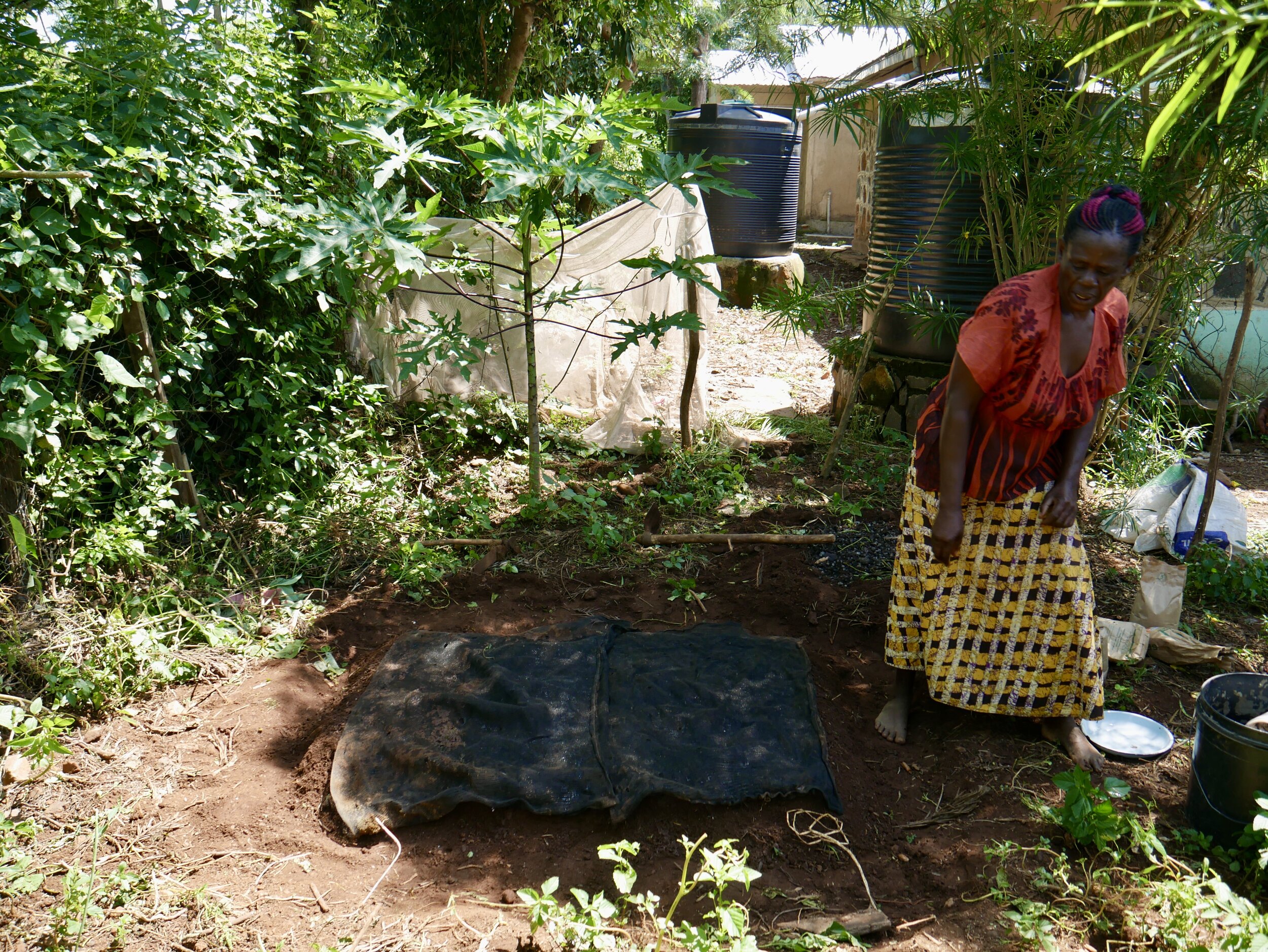 The kitchen gardens have proved to be a primary source of sustenance for the widows. 