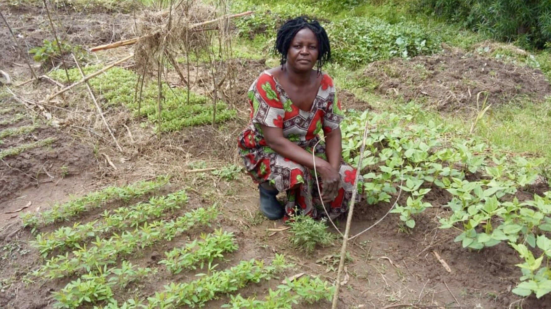  Hellen, a Nyanam widow leader in her kitchen garden. 